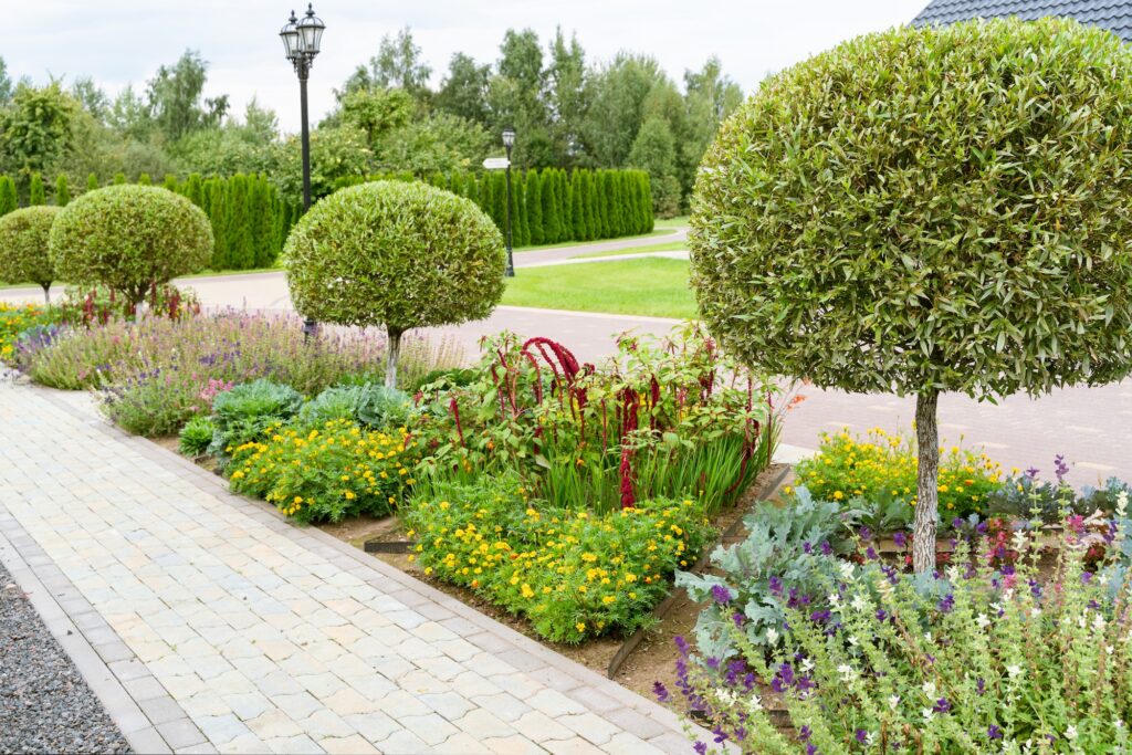 Beautiful landscape design in the European park in summer